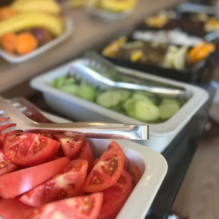 Sarajet E Pashait 1 4*