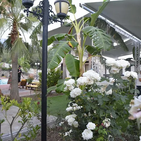 Sarajet E Pashait 1 Guest house Dhermi