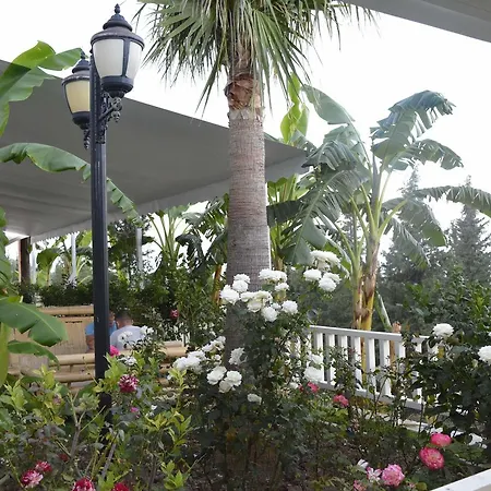 Sarajet E Pashait 1 Guest house Dhermi