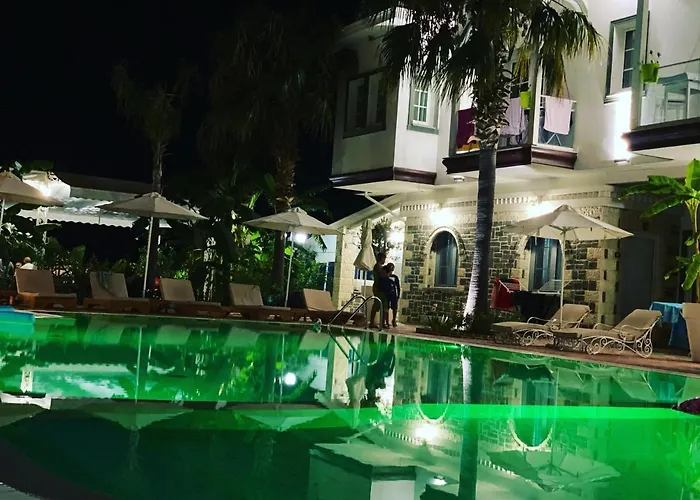 Sarajet E Pashait 1 4*