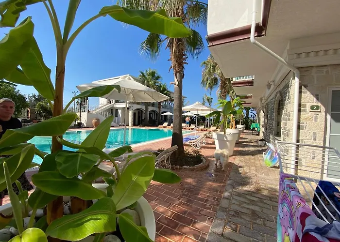 Guest house Sarajet E Pashait 1