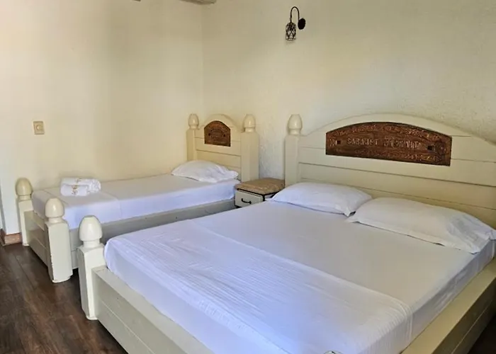 Guest house Sarajet E Pashait 1 4*