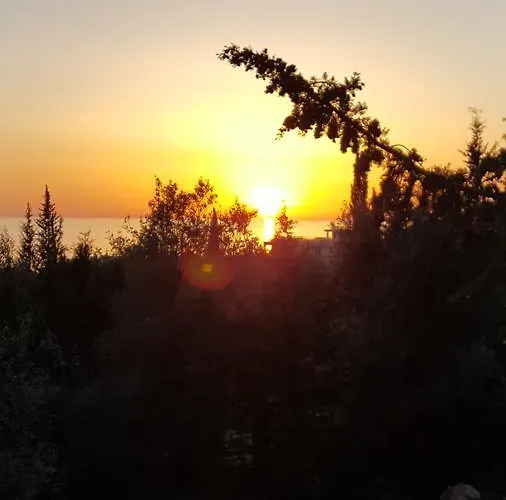 Sarajet E Pashait 1 4*